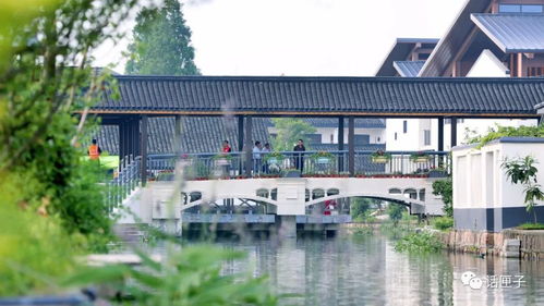 住在風景里，何必還要去找風景——宜興網站建設讓美麗鄉村觸手可及