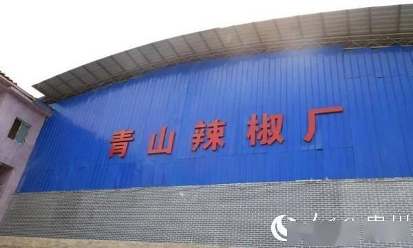 金海湖新區規劃建設辣椒加工廠，延長產業收益鏈